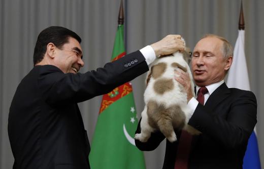 Картинки по запросу Лидер Туркмении подарил Путину щенка алабая по кличке Верный